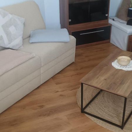 Apartment Alex 格尔利茨 外观 照片